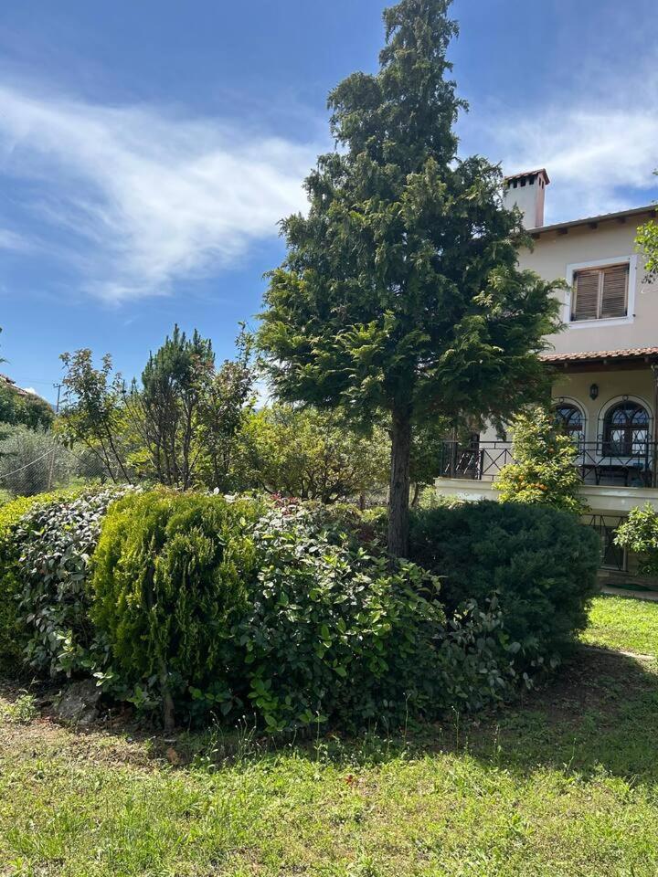 Vila Zeusplace Karia Natura