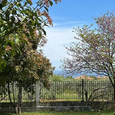 Zeusplace Karia Villa Natura Leptokaria Zewnętrze zdjęcie