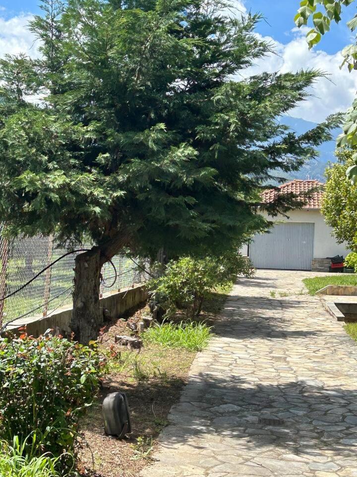 Zeusplace Karia Natura