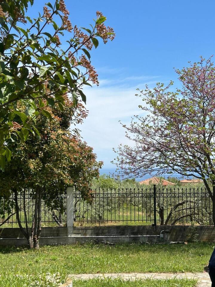Zeusplace Karia Natura *