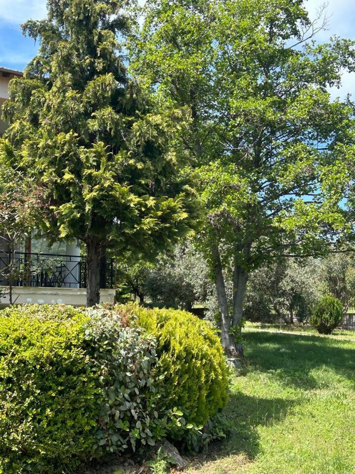 Zeusplace Karia Natura * Leptokarya (Pieria)