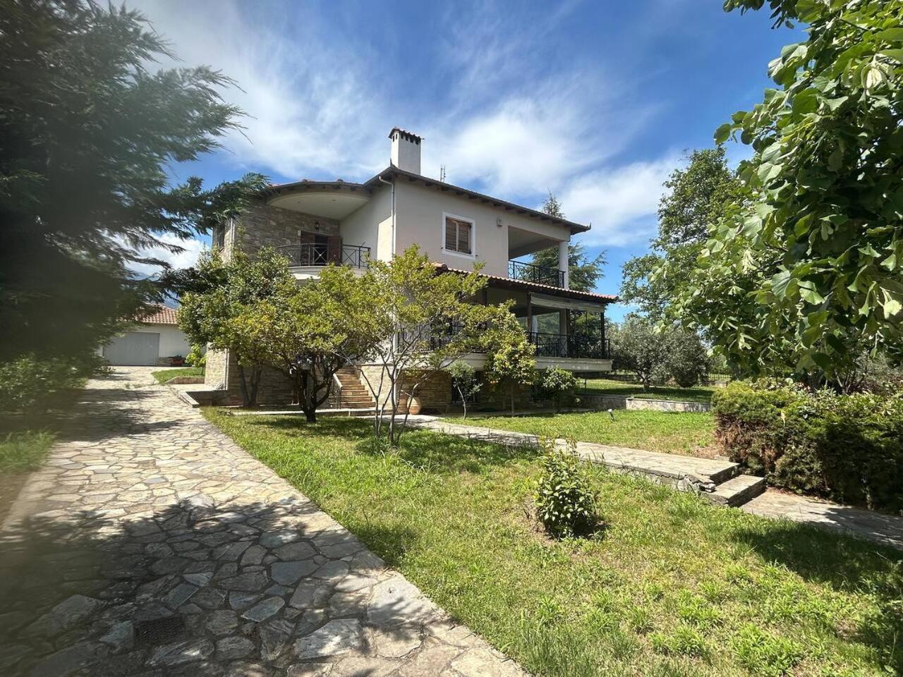 Villa Zeusplace Karia Natura Leptokarya (Pieria)